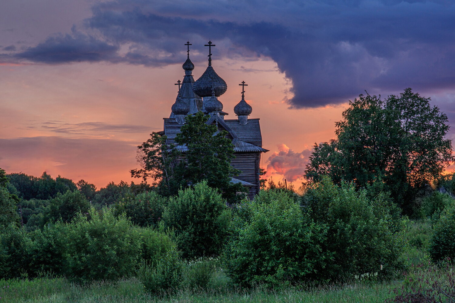 , Добролюбова Тамара