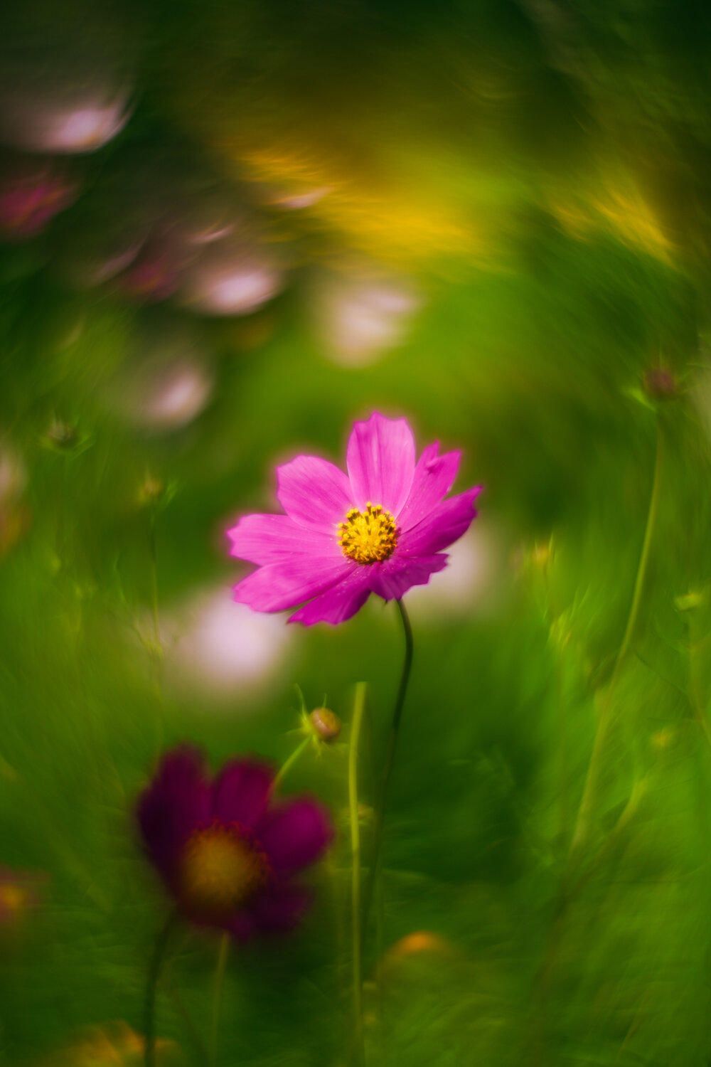 , Andrey Sosnovsky