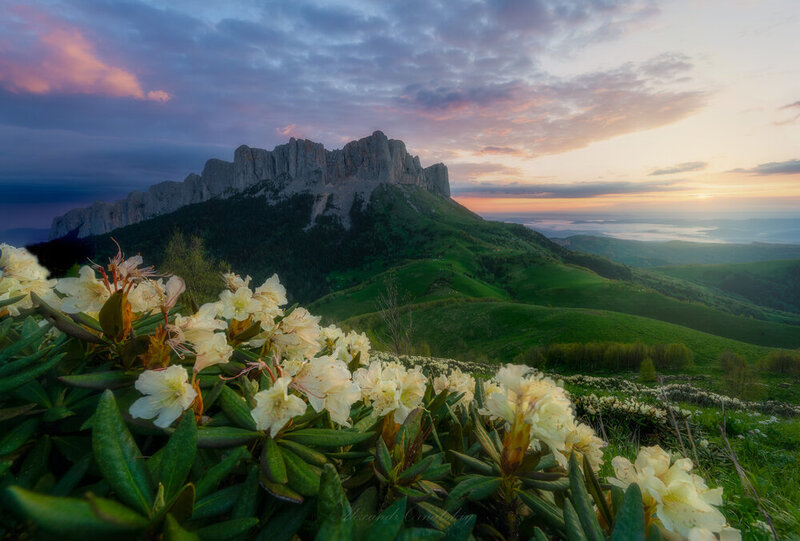фото превью
