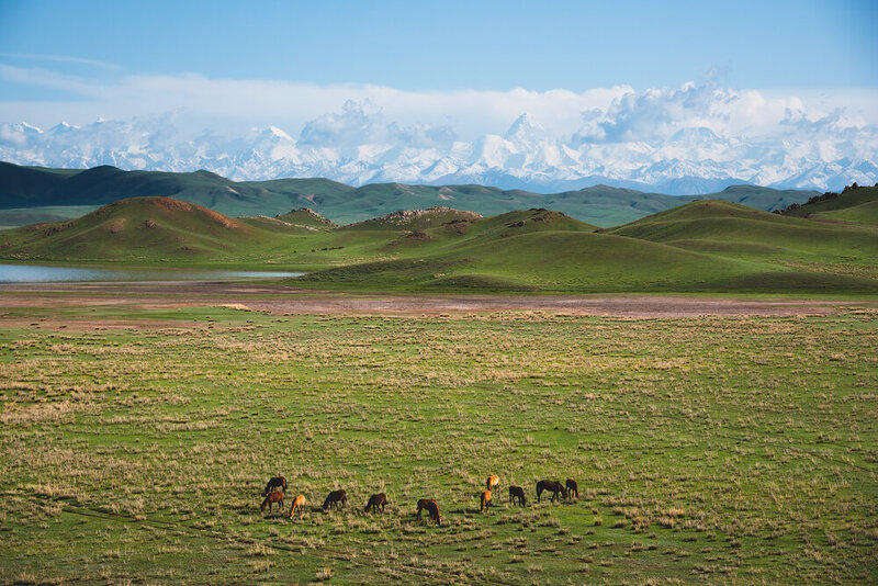 горы, казахстан, mountains, qazaqstan  фото превью
