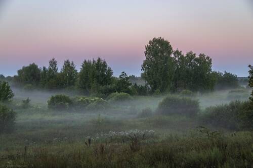 Первые краски рассвета
