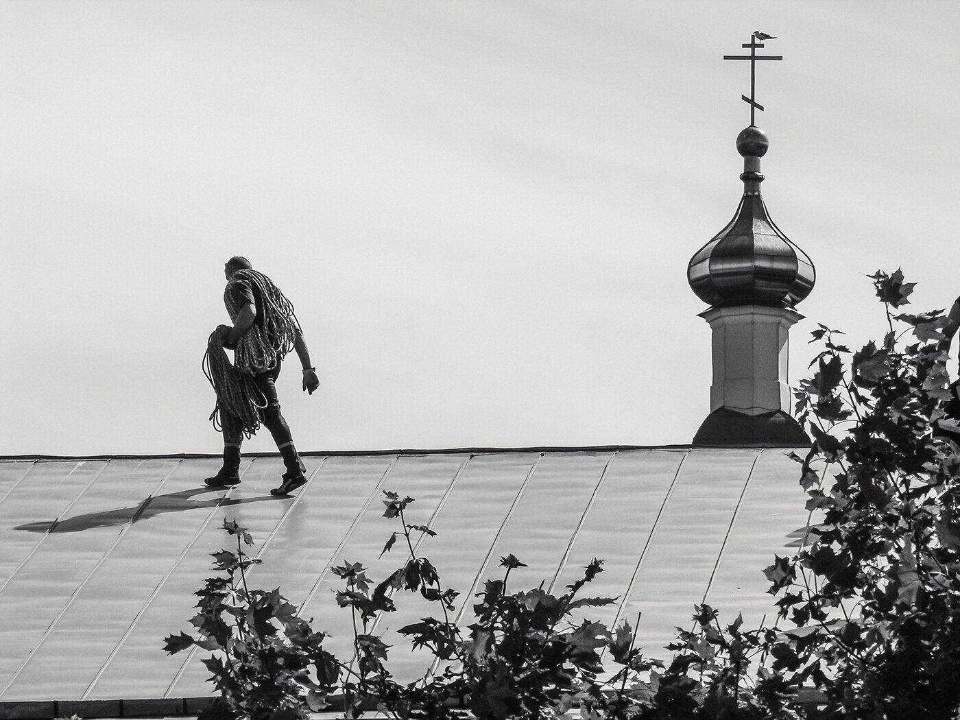 Бес попутал. Автор: Kuisma Sergei , Kuisma Sergei