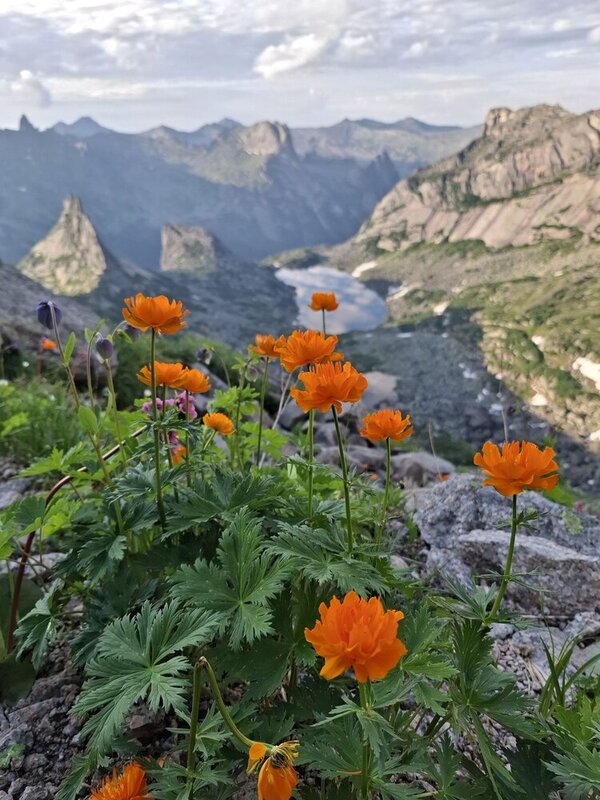 фото превью