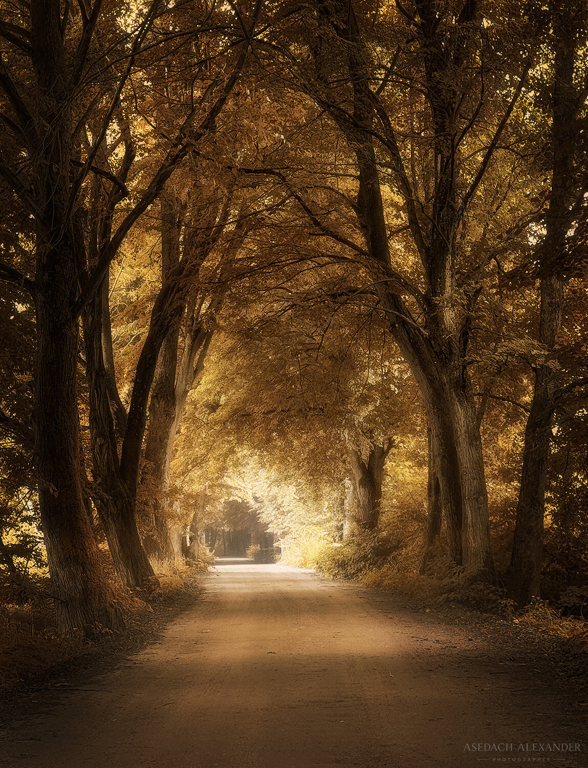 , Asedach Alexander