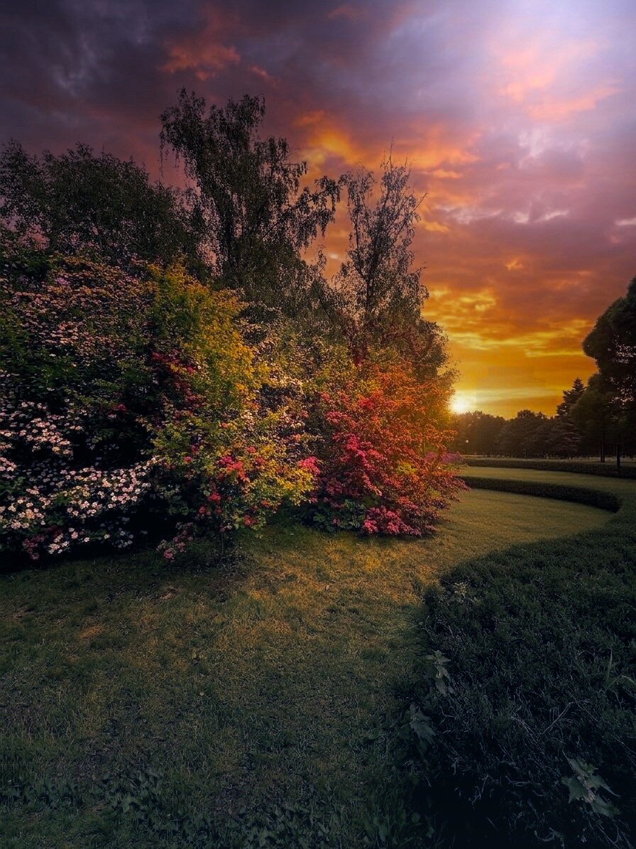 ***. Автор: Julia Kaissa пейзаж, природа, nature, лето, summer, закат, sunset, landscape, Julia Kaissa