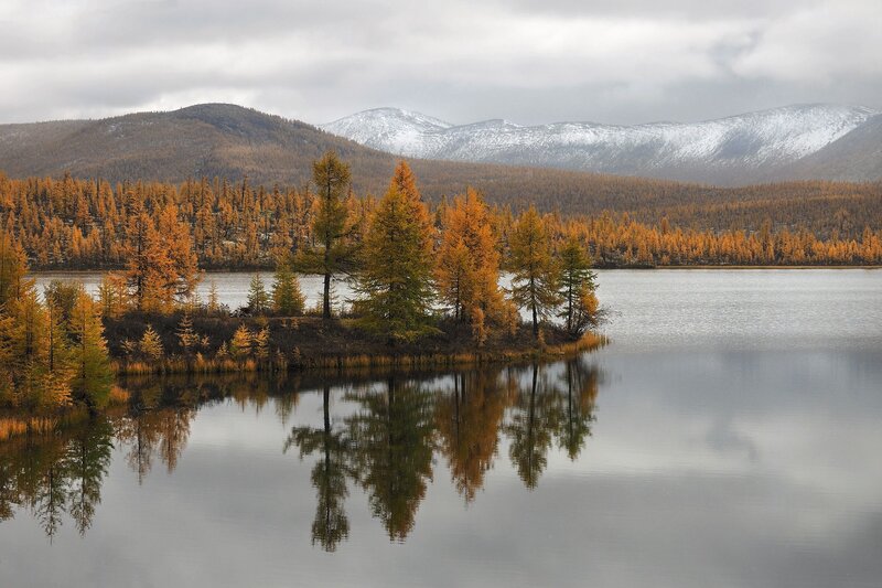 Осенний \\\