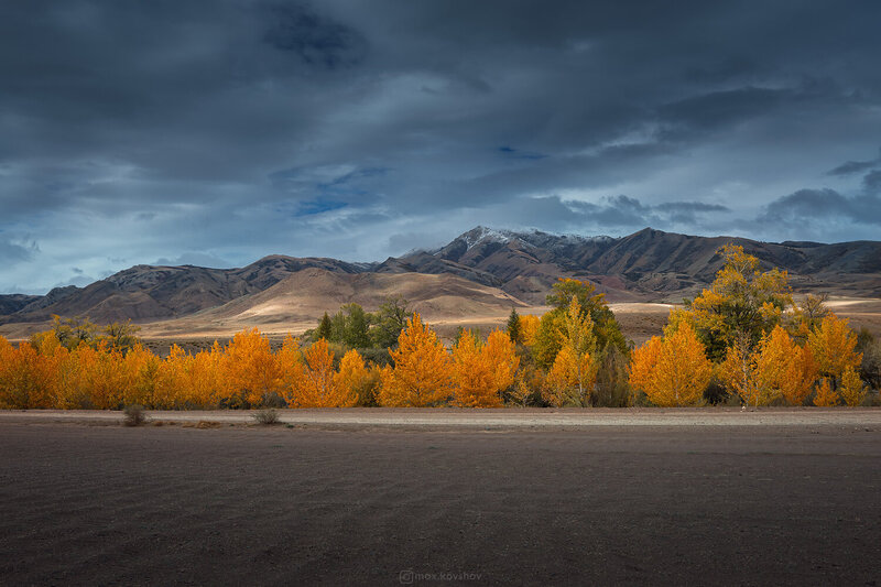 алтай, осень  фото превью