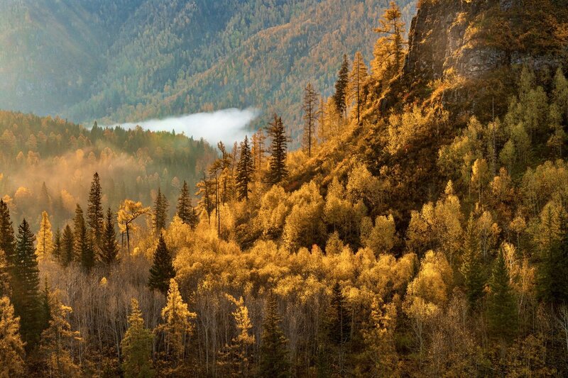 Впадение Урсула в Катунь - поздняя Осень фото превью