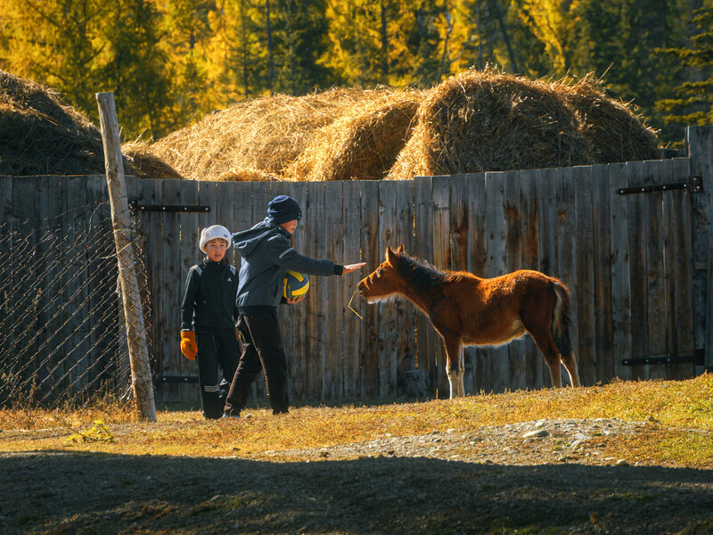 тревел, алтай, осень Давай с нами! фото превью