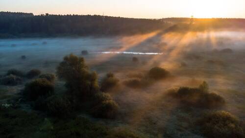 Солнечное утро