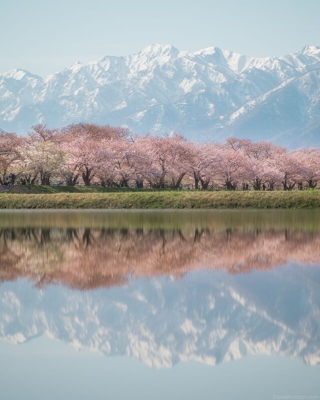 Spring Quartet Toyama фото превью