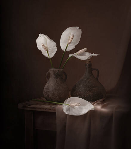 Brown and white