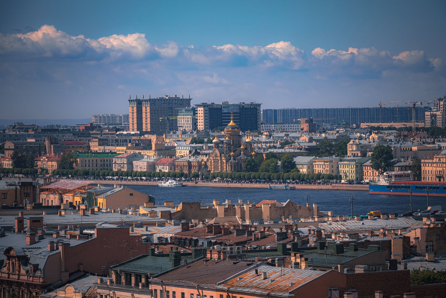 , Трепольский Дмитрий