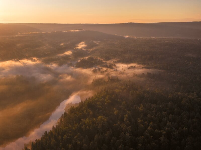 оленьи, ручьи  фото превью