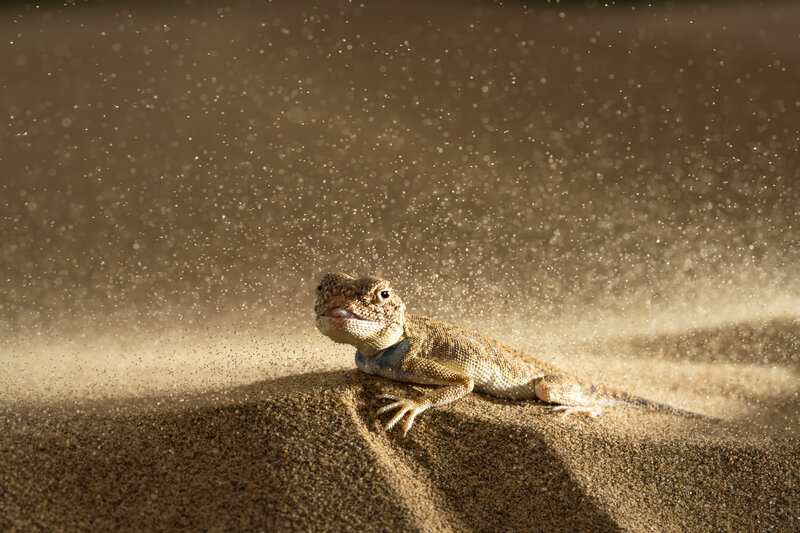 Small but strong фото превью