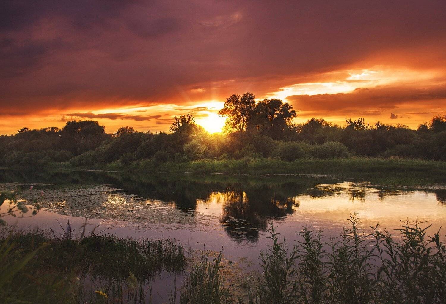 фото, природа, пейзаж, гроза, закат, лес, река, Екатерина