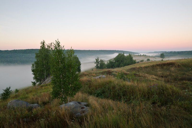 На Красивой Мече(Красногорское). фото превью