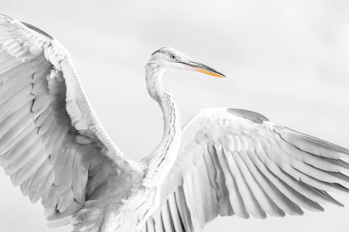 , Дмитрий Вилюнов