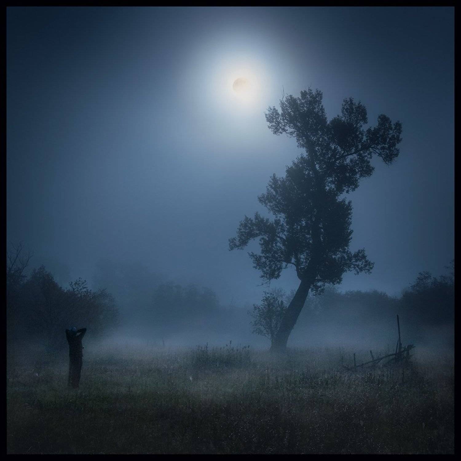 Дерево, Луна, Туман, Илья Бисеров