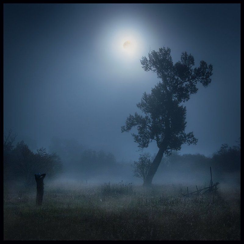 Дерево, Луна, Туман Лунофобия фото превью