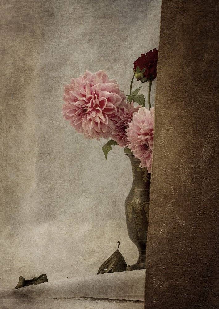 Букет, Ваза, Георгин, Листья, Розовый, Штора, Игорь Токарев