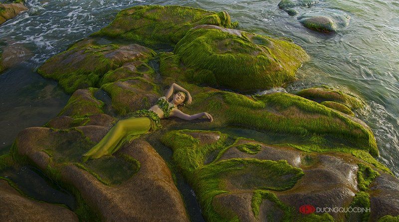 Hoàng Mỹ An фото превью