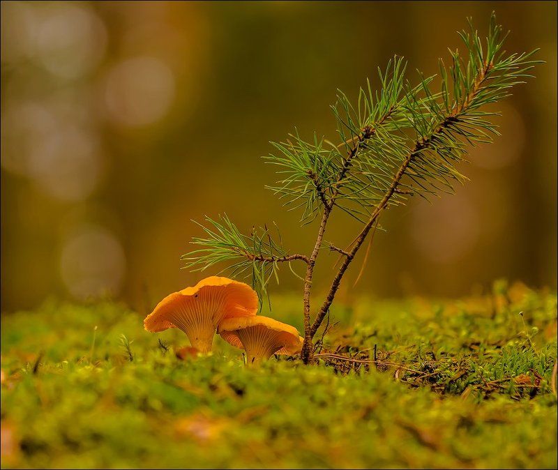 Уединились) фото превью