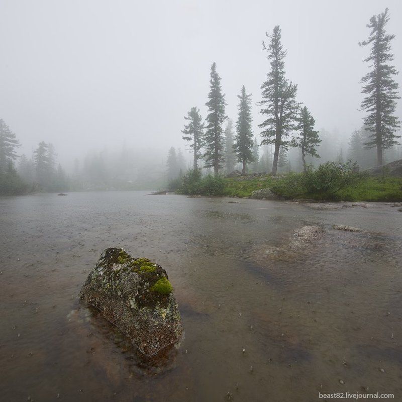 Дождь, Ергаки, Туман Типичные Ергаки фото превью