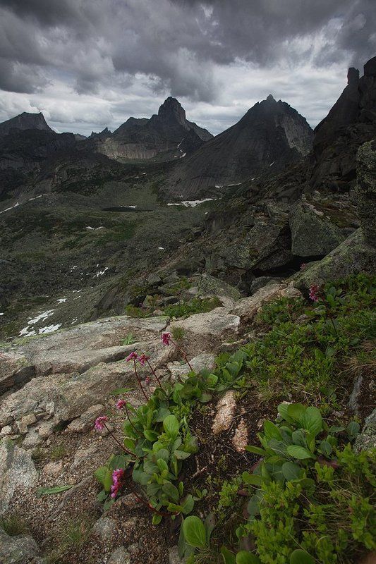 ергаки, саяны, сибирь, россия, перевал, озеро, художников, бадан, горы, пейзаж Суровая красота гор фото превью