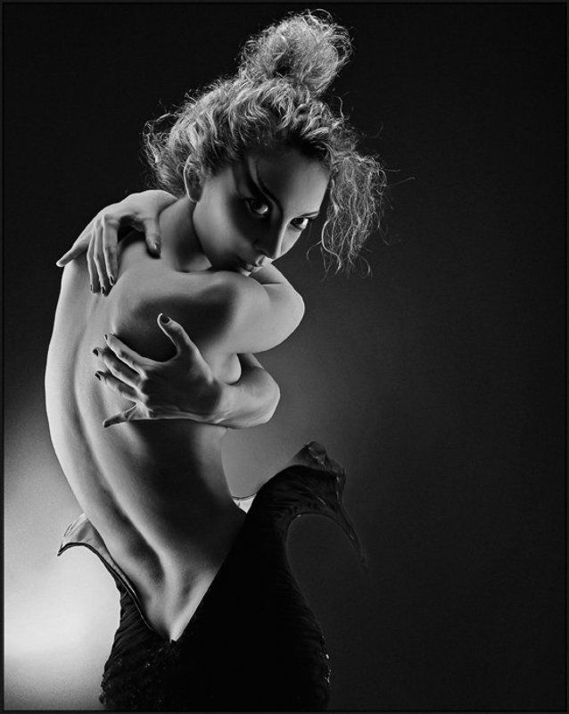 черная роза фото превью