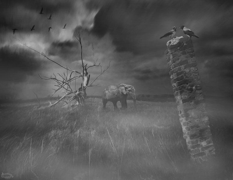 Epilog фото превью