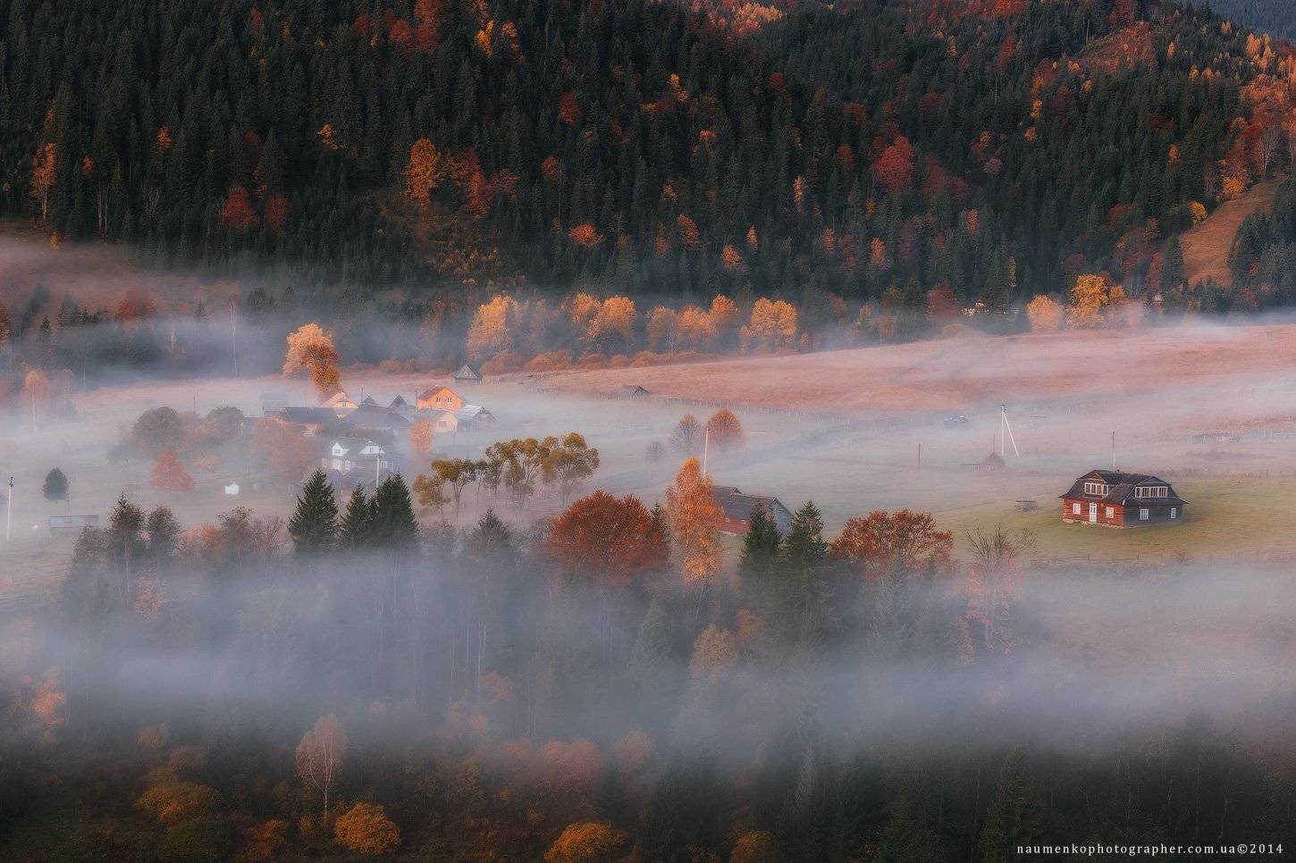 европа, украина, карпаты, дземброня, осень, пейзаж, солнце, рассвет, путешествия, туман, горы, лес, красивый, горы, дерево, природа, фон, декорации, сезон, осень, небо, красный, цвет, вид, окружающий, среда, утро, натуральный, дерево, сельский, сцена, кра, Александр Науменко