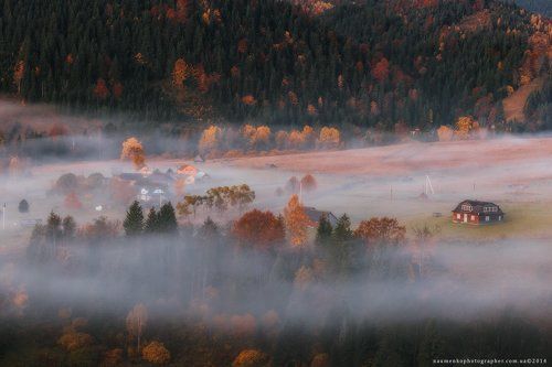 Карпаты. Осеннее утро в селе Дземброня