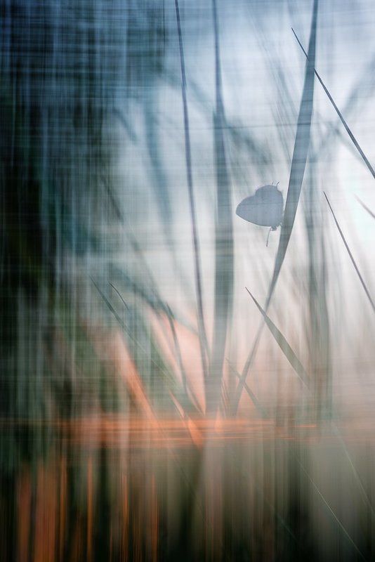 Закат в стиле геометризм фото превью