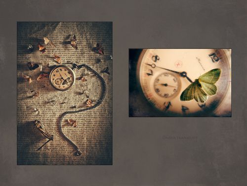 Omnia transeunt/ всё проходит 