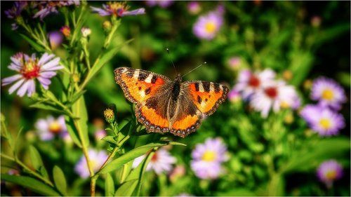 Теплое утро! 