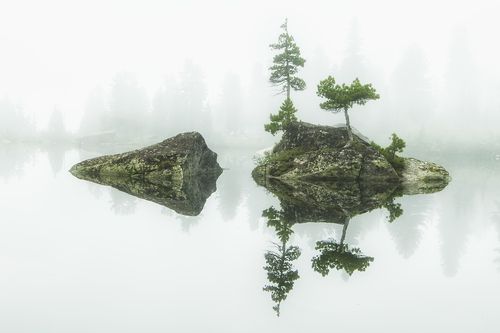 Симметрия