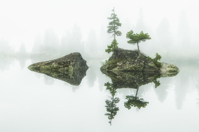 ергаки, пейзаж, отражение, туман, кедр, сибирь, саяны Симметрия фото превью