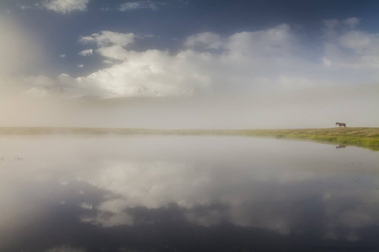 , Антон Петрусь