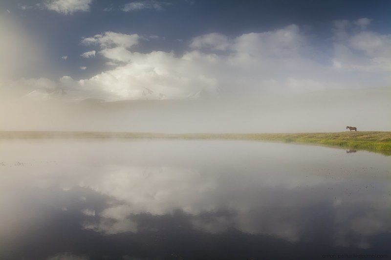 О маленькой лошадке фото превью