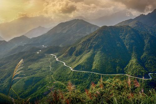 Vietnam Beauty