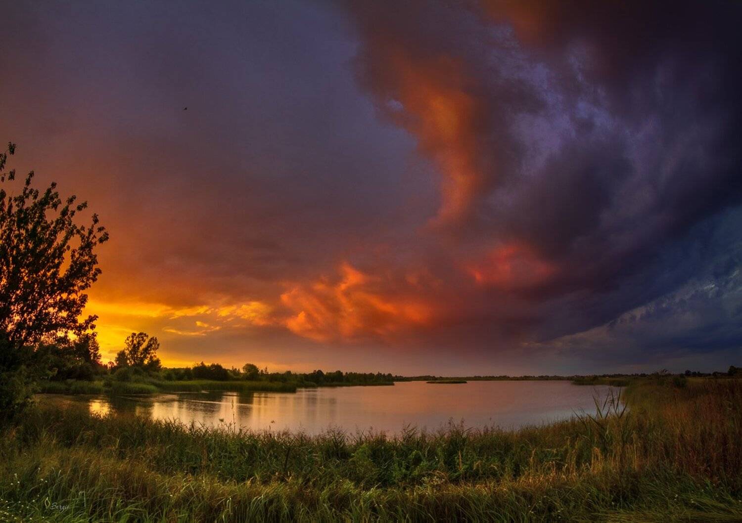 Беларусь, Серж Домбровский