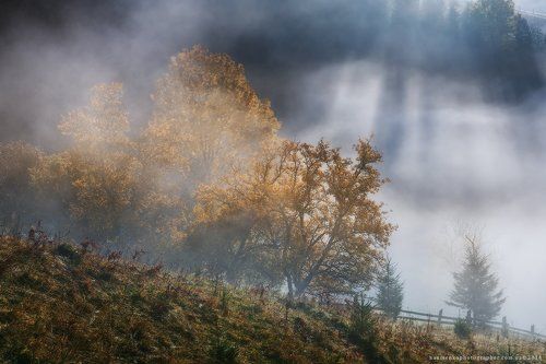 Карпаты. Осеннее утро в селе Дземброня