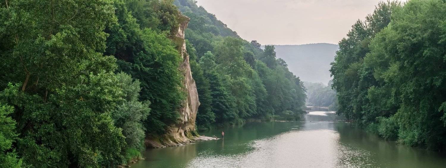 , Анатолий Щербак