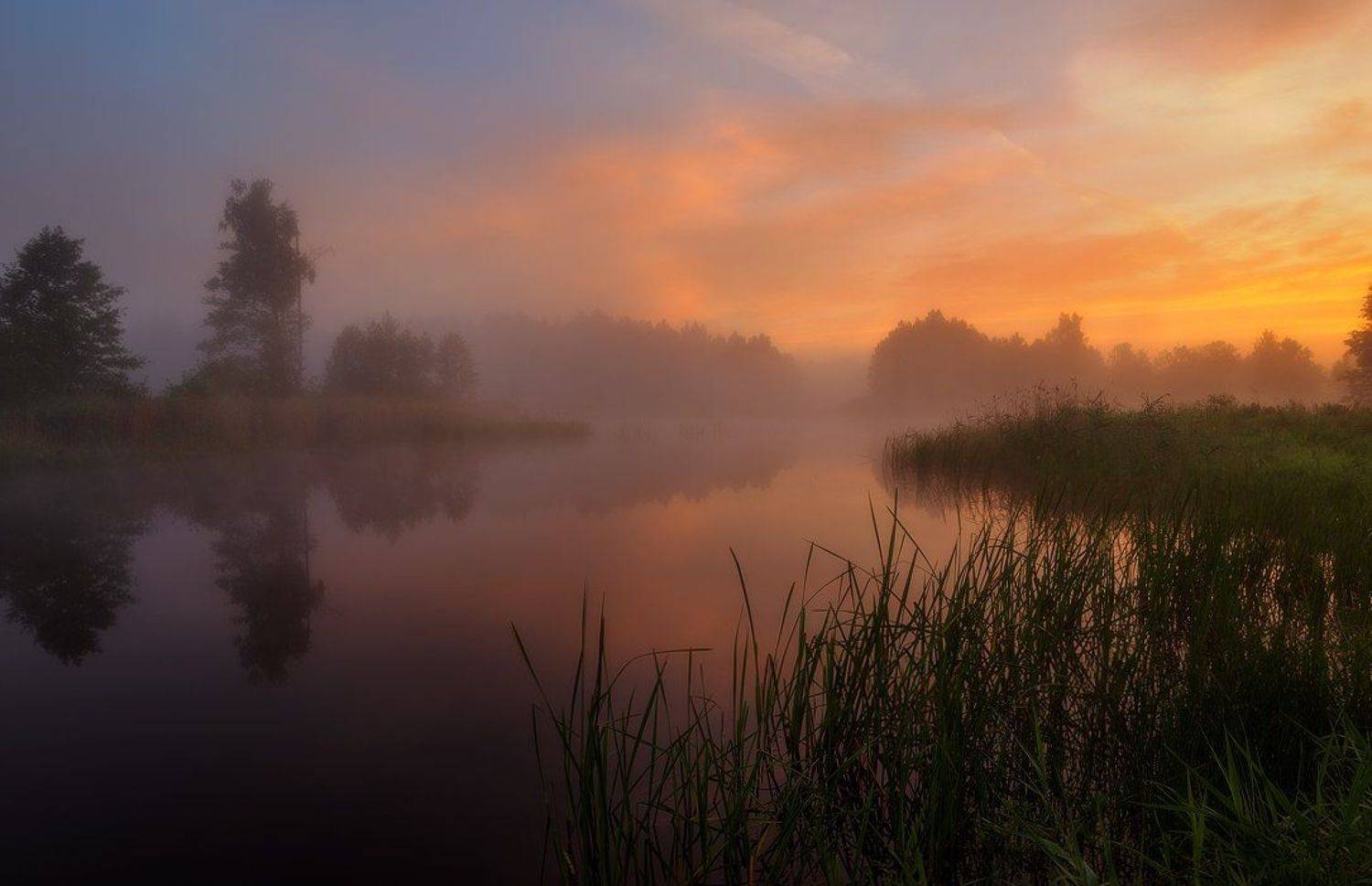 Clouds, Colors, Dawn, Fog, Forest, Lake, Mist, Summer, Sunrise, Trees, Justinas Kondrotas