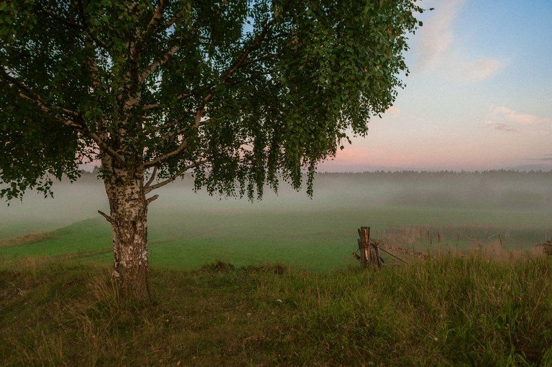 Дети Свободное детство фото превью