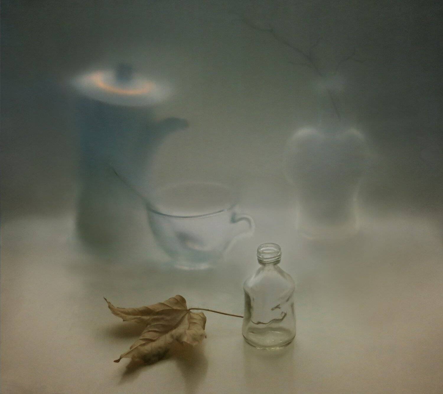 лист, ветка, осень, бутылка, чайник, ложка, чашка, Елена