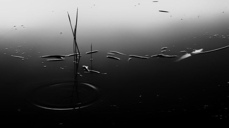 отражения Отражения.. фото превью