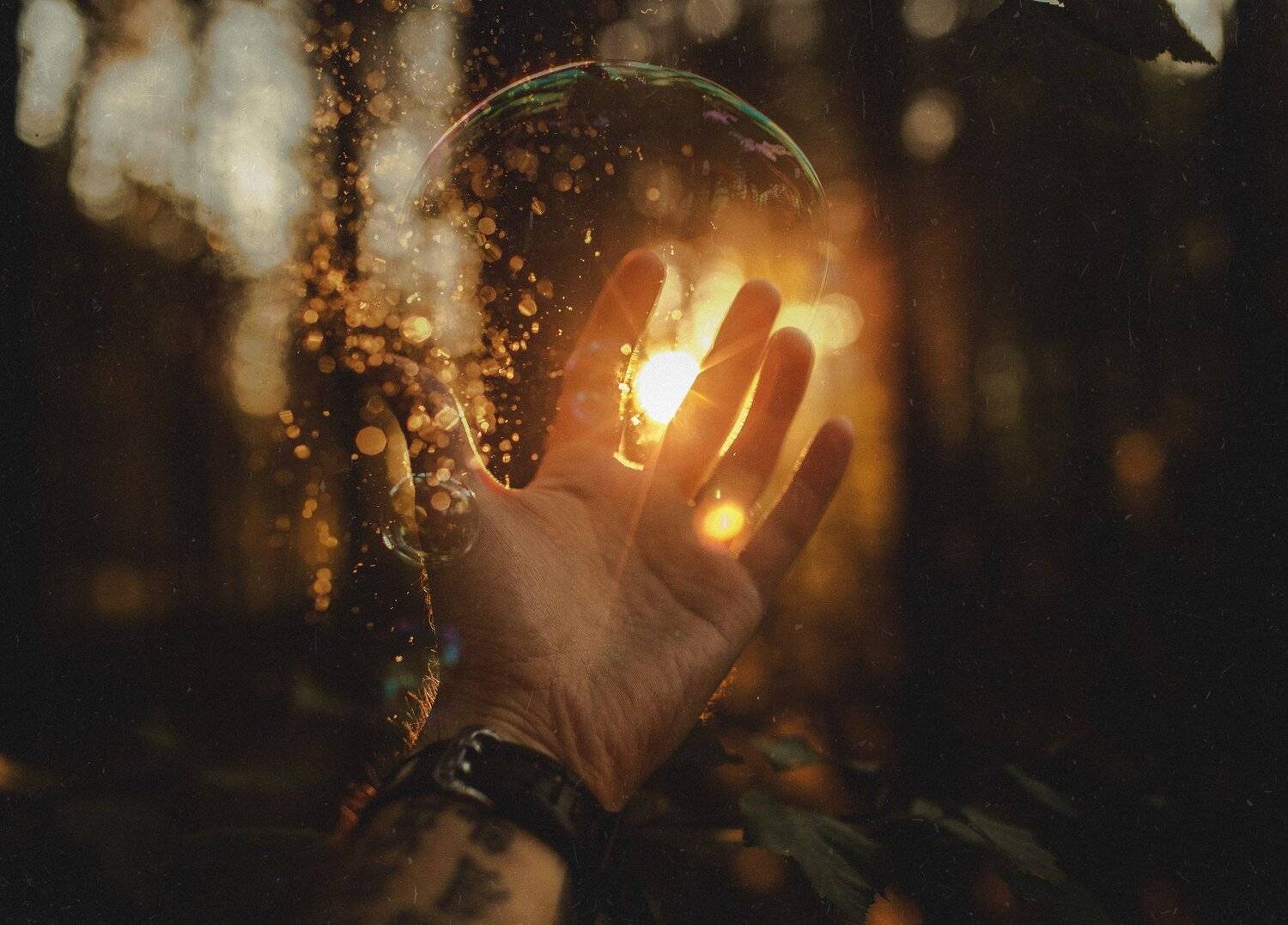 , Виталий Гуляев