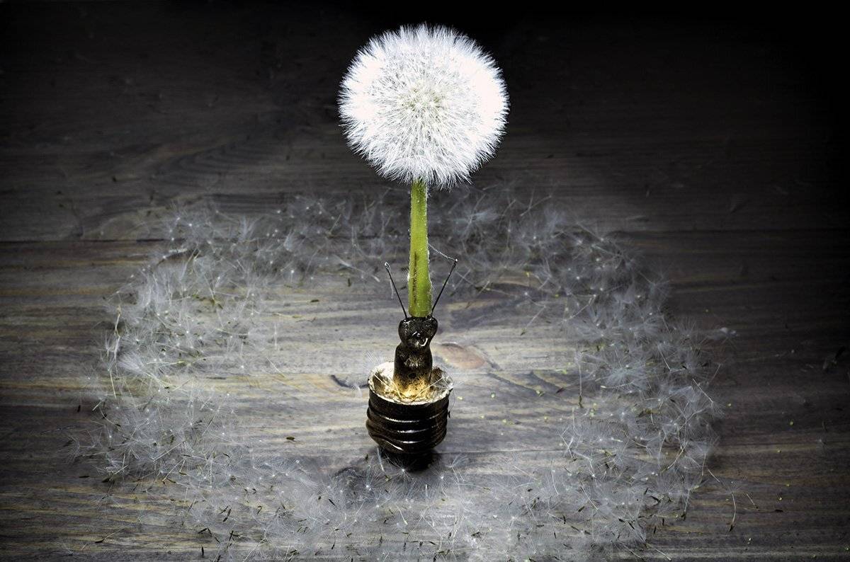 , Наталья Бочкарева